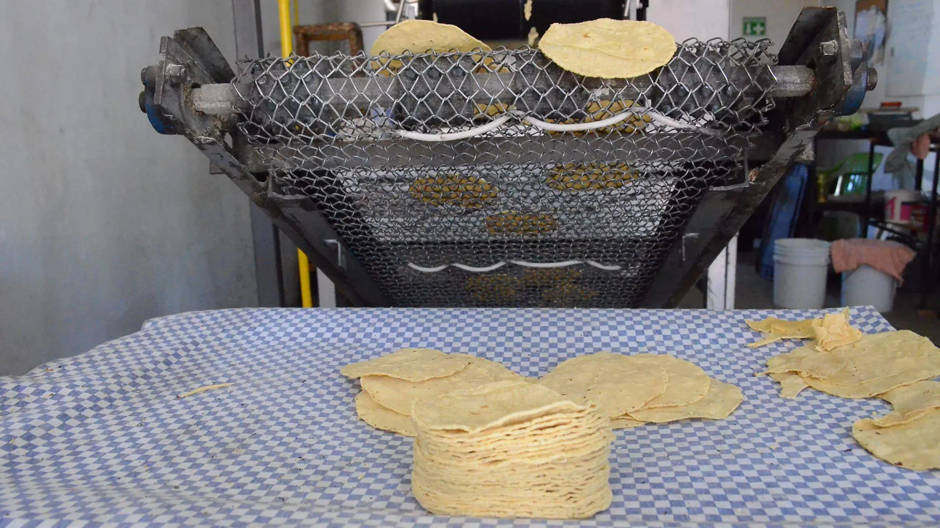 El costo del kilogramo de la tortilla en San Juan del Río oscila entre los 16 y 18 pesos.